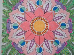 whatsapp image 2025-12-29 at 10.24.58